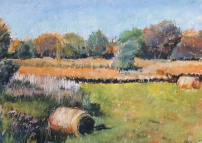 357i-2024 paysage mini stage Françoise Bousquet