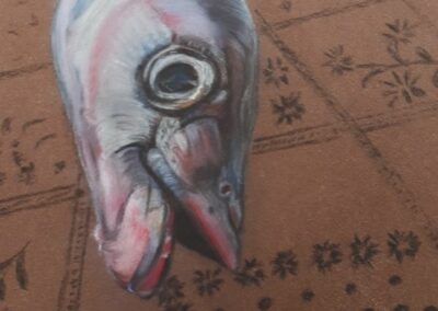 371i-2025 Tête de thon