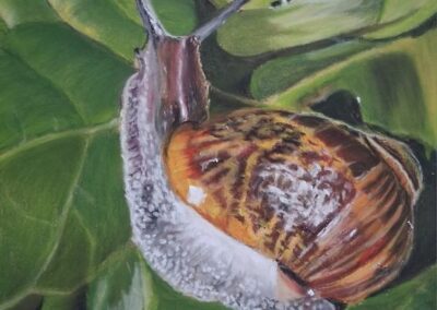 381i-2025 Hugo l’escargot