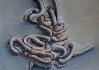 382i-2025 Ver de sable