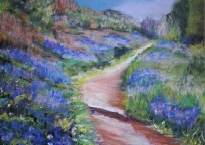 383i-2025 Petit sentier de Guernesey