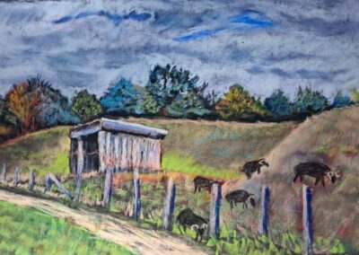 386i-2025 L’écopâturage de la Mézière