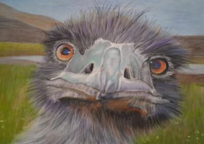 390i-2025 Duduche l’autruche