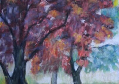 391i-2025 Arbre rouge de Gahard