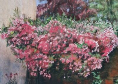 393i-2025 Sous le laurier rose